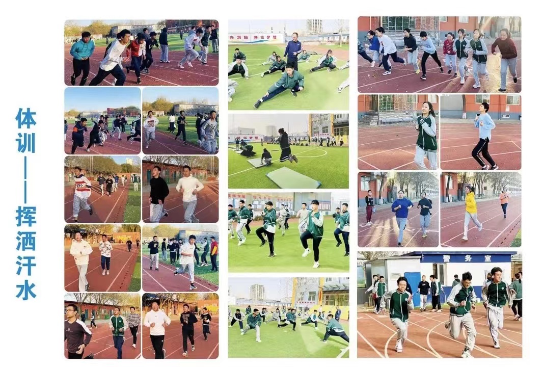 体育.jpg